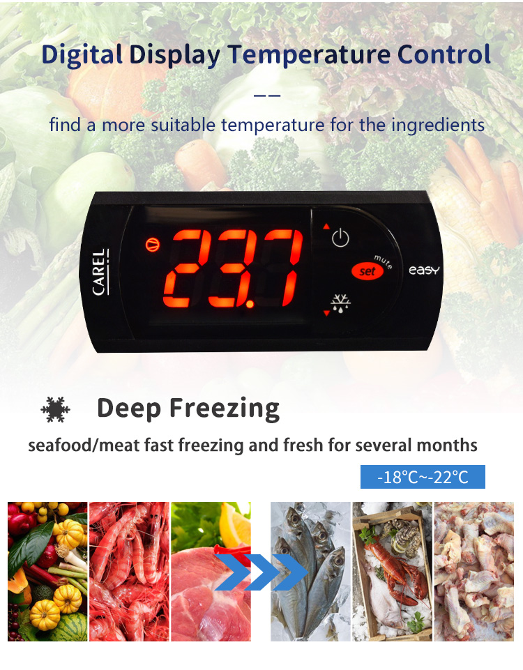 commercial upright freezer with double door with casters details_03