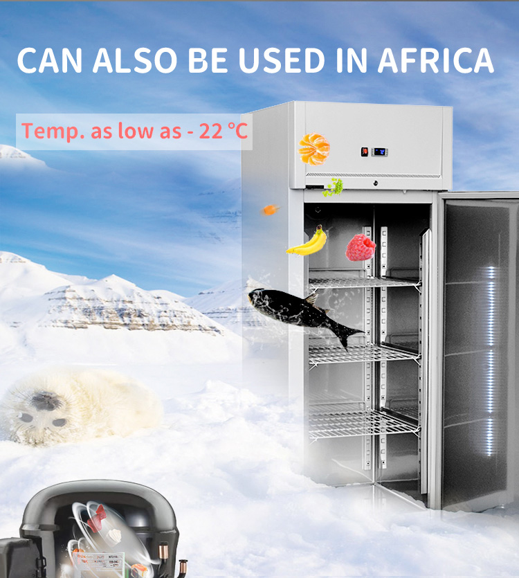 commercial freezer upright single door frost free details_05