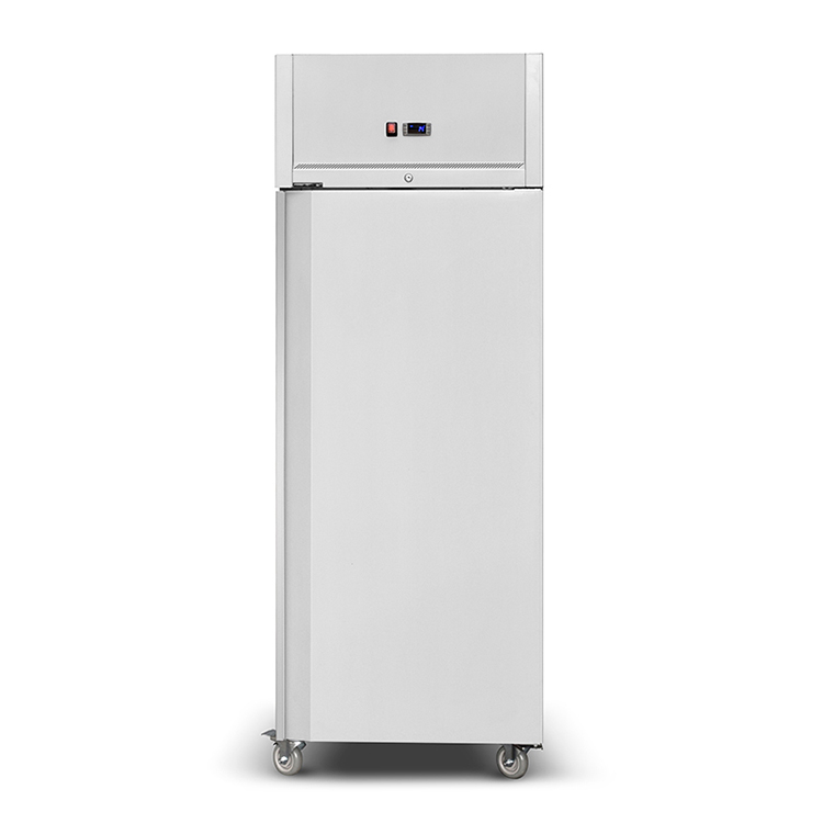 Commercial Freezer -22°C