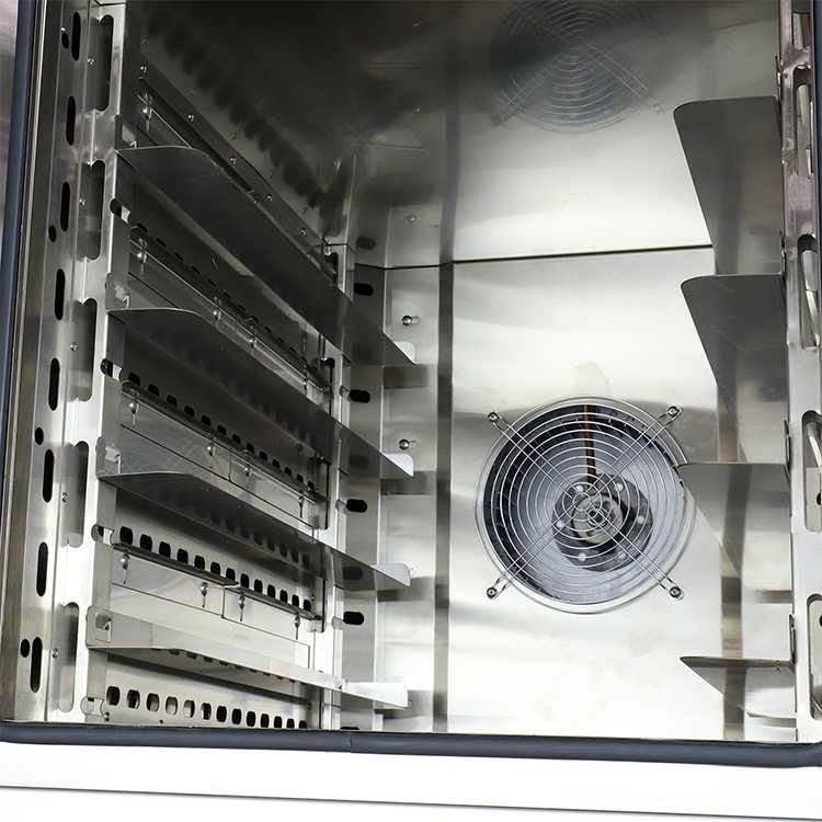 Convection Oven with Bread Proofer