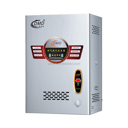 Wall Mounted Gas Steam Generation