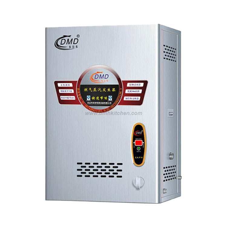 Wall Mounted Gas Steam Generation