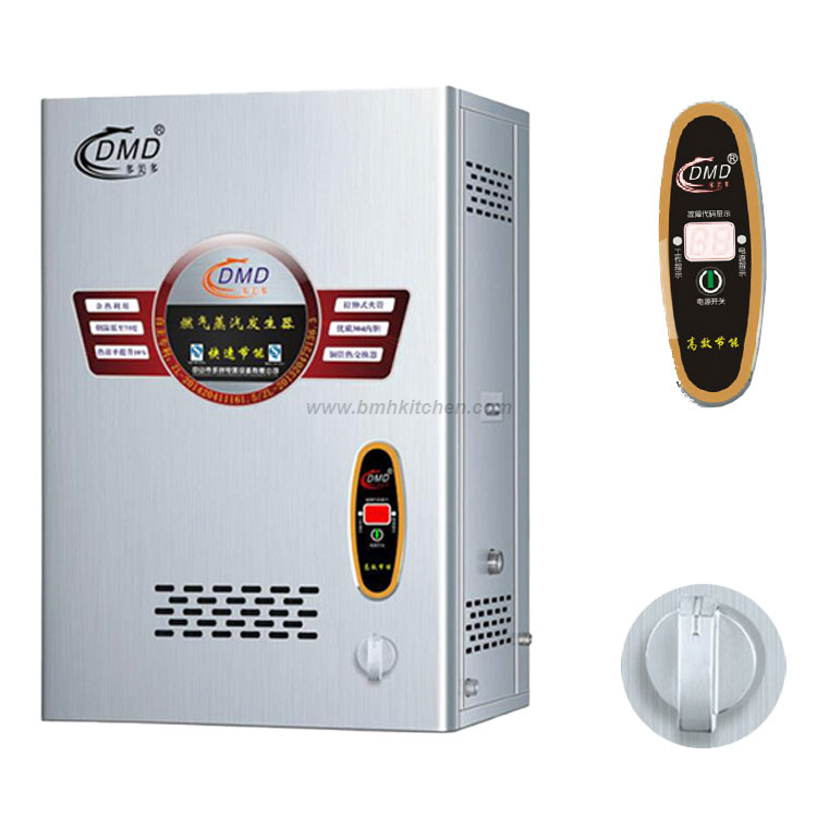 Wall Mounted Gas Steam Generation