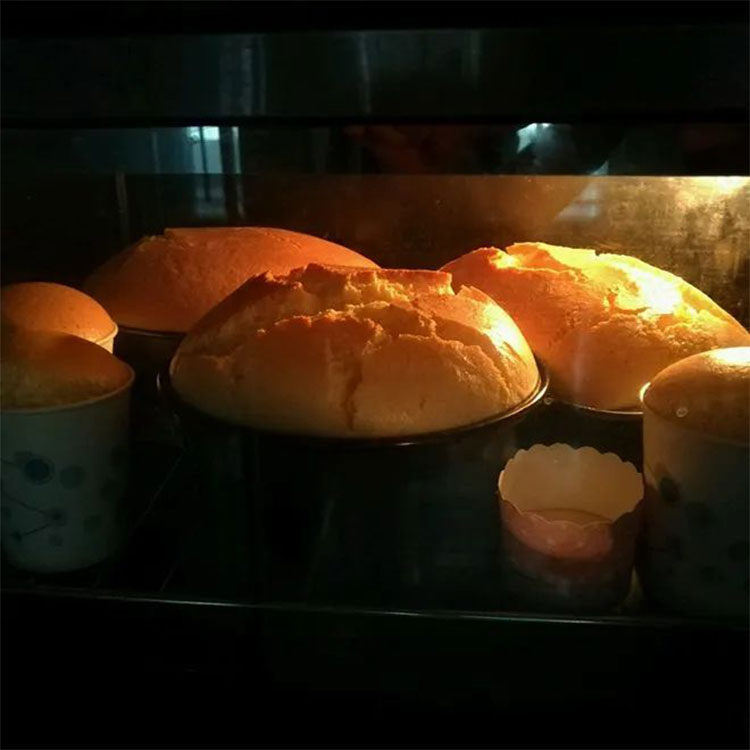professional-commercial-oven-supplier1