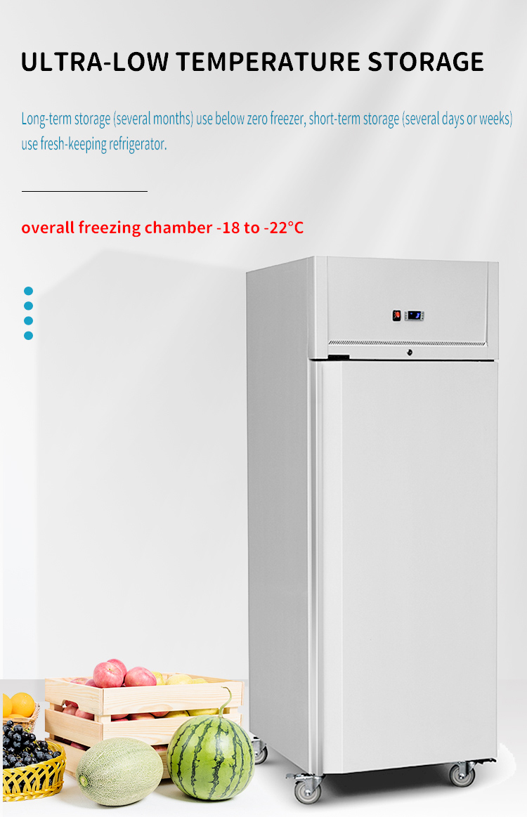 commercial freezer upright single door frost free details_03