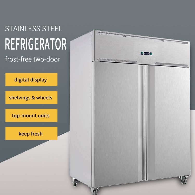 Double Door Fridge