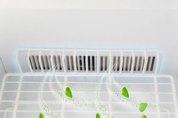 the air-cooled refrigerator (1)