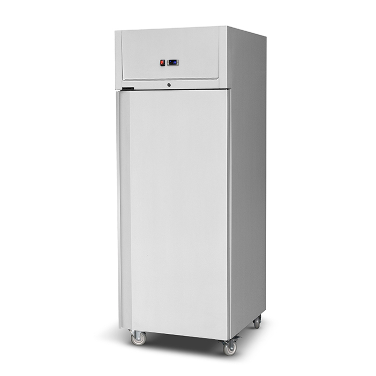 Commercial Freezer -22°C