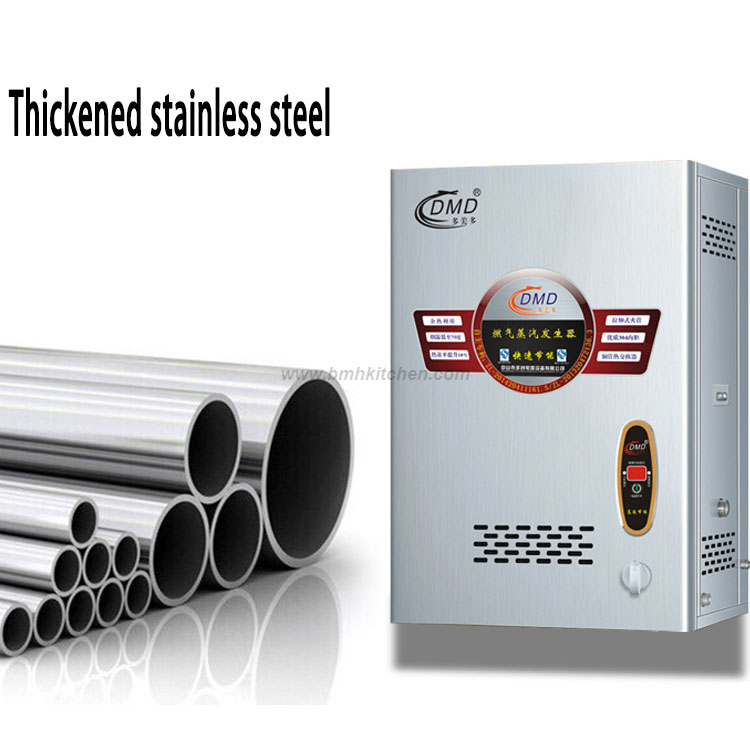 Wall Mounted Gas Steam Generation